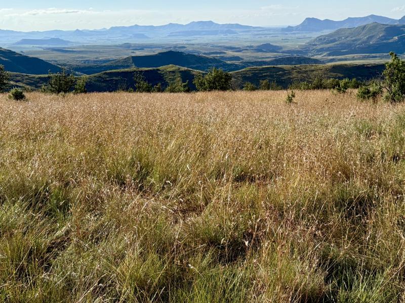 0 Bedroom Property for Sale in Fouriesburg Free State